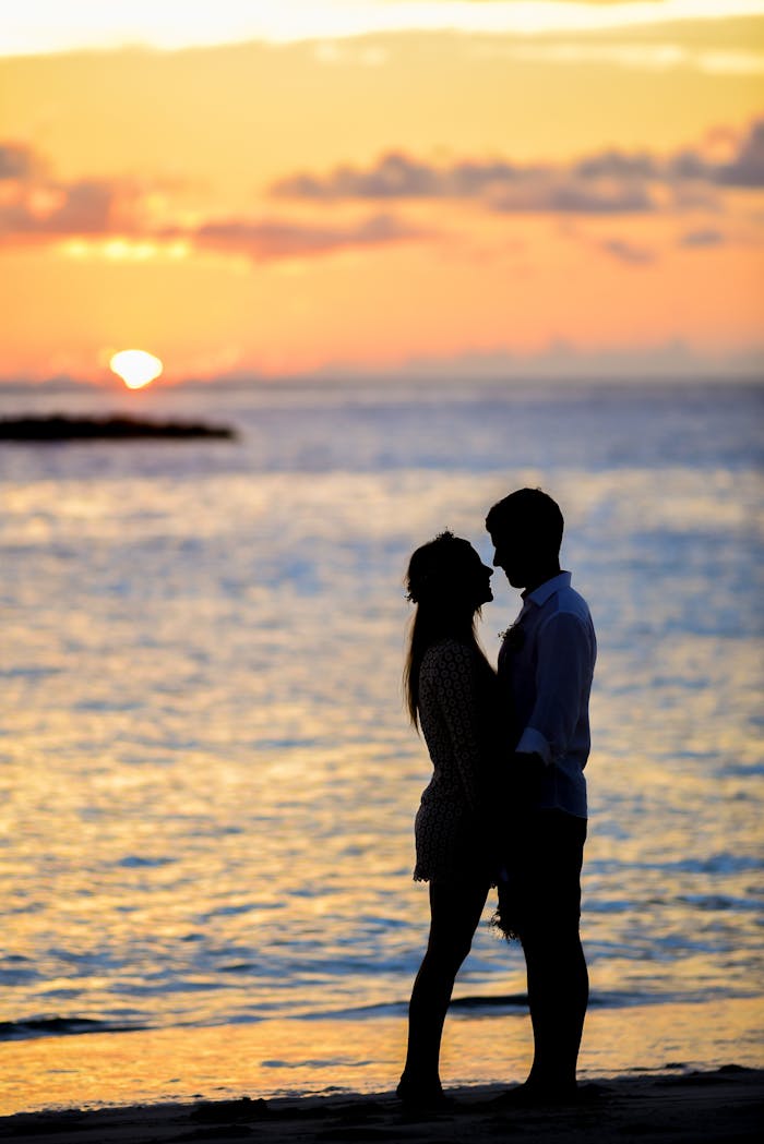 Silhouette of Couple on Seashore