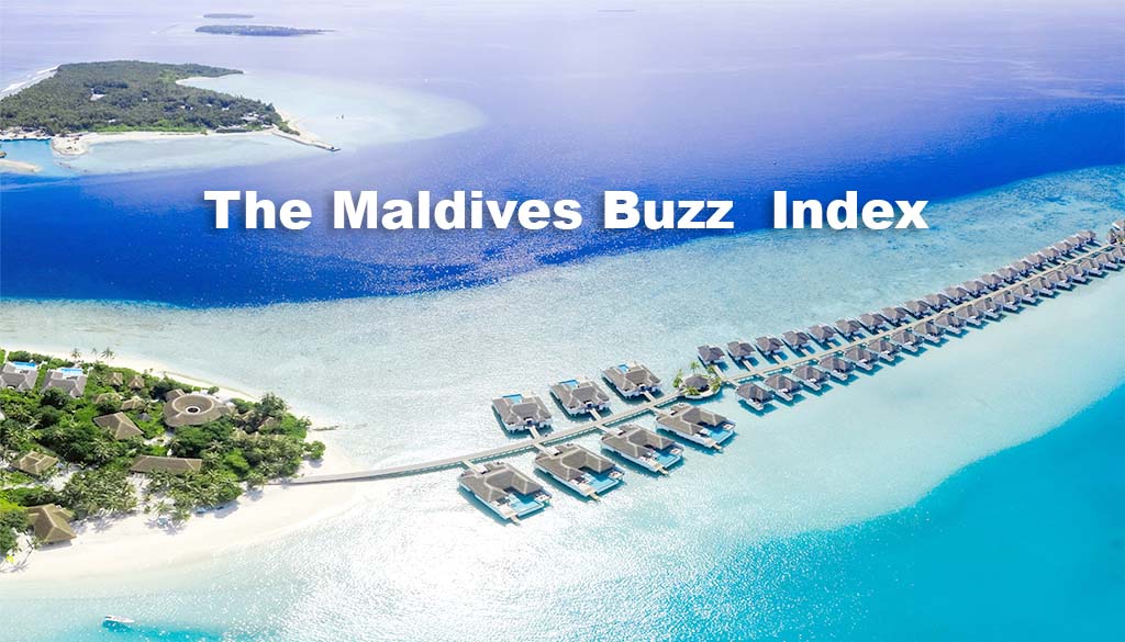 Maldives Buzz index cover showing the words and a resort